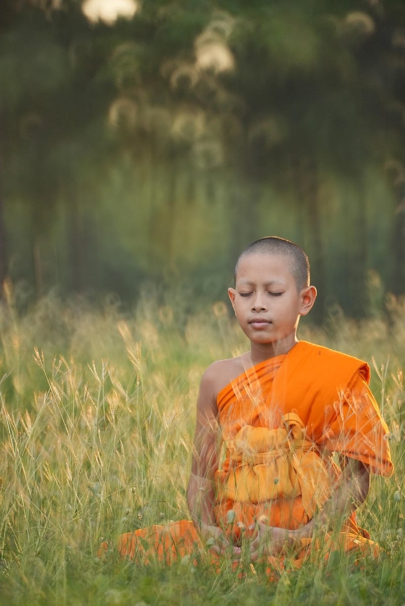 Meditation in Hatha Yoga